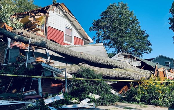 Emergency Tree Removal